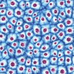 Regeneración Hormonal